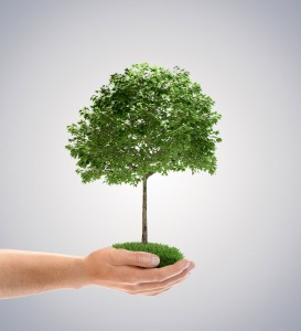 Fotolia_41560854_Subscription_Monthly_L